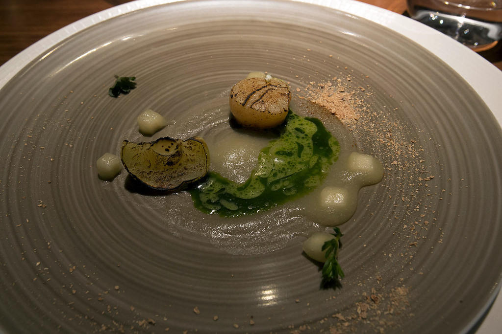 Scallop