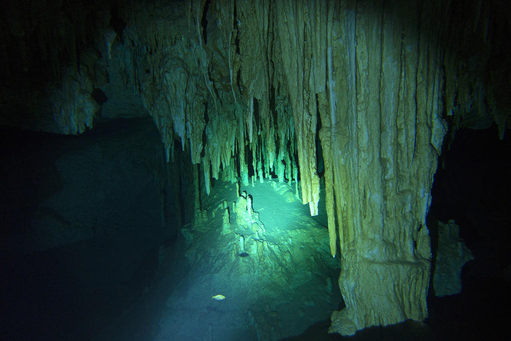 Lots of stalactites