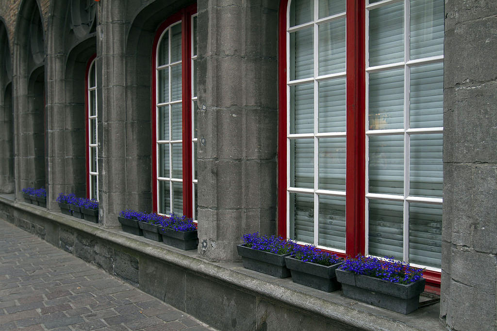 Belfry windows