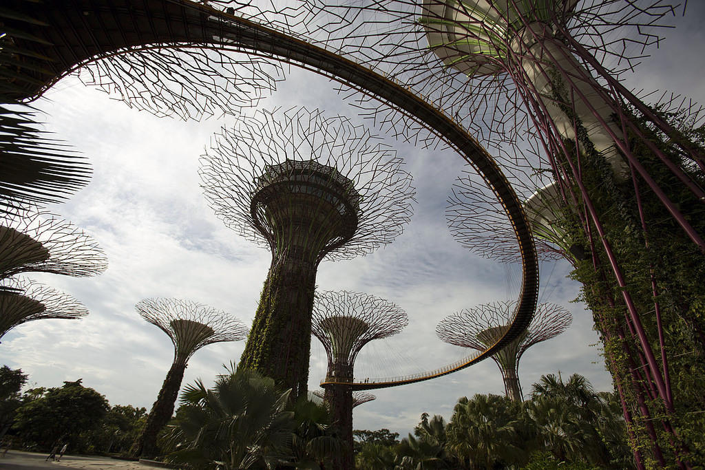 Garden skywalk
