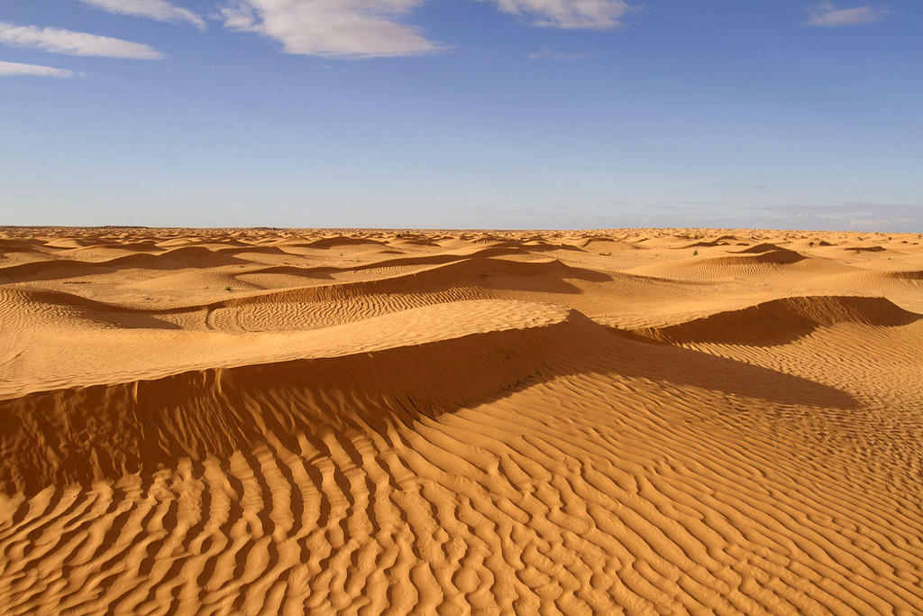 The Sahara