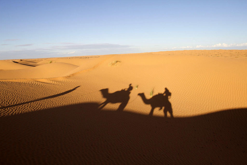 Camel Trek to Tisavar