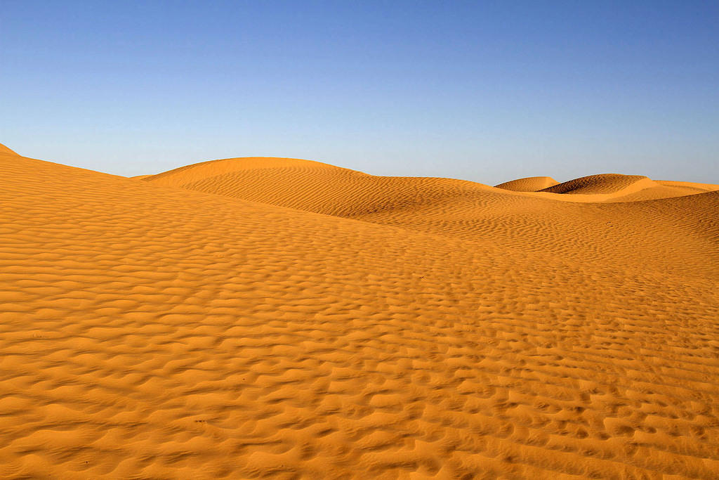 More dunes