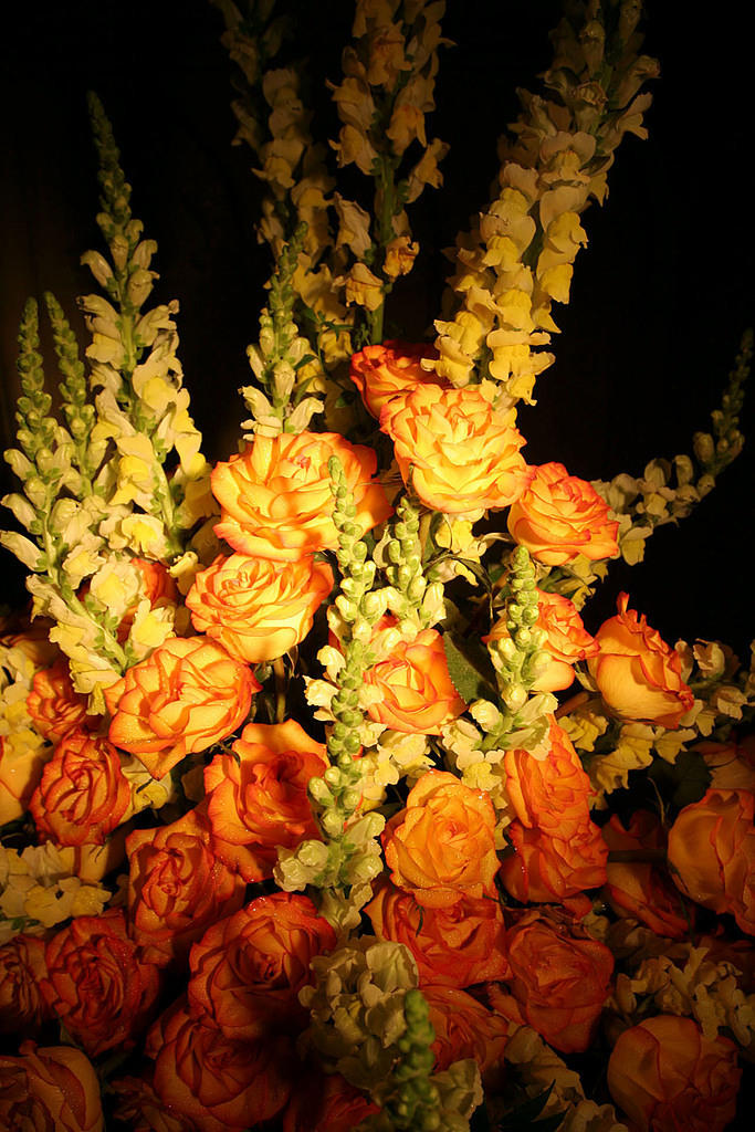 Spain's flowers