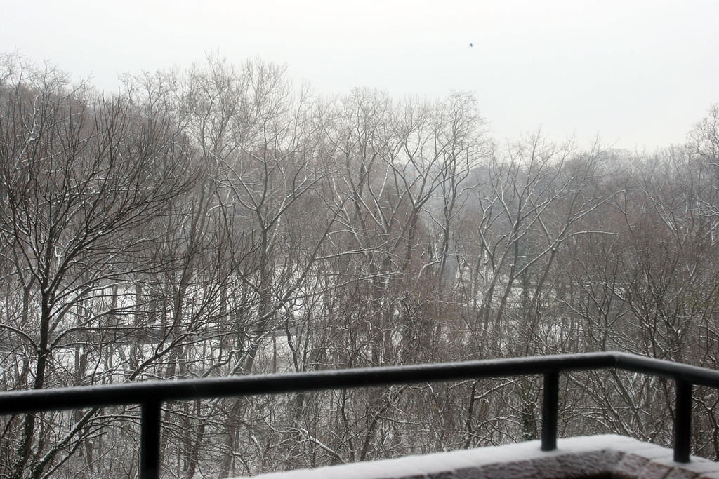 Snow on my balcony