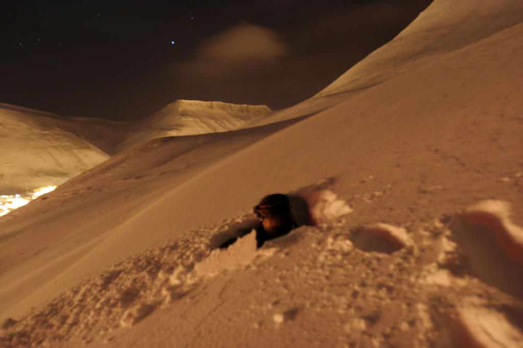 I froze my ass off in the snow and wind taking pictures with no gloves.