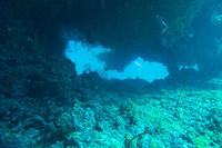 Coral swim-through