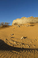 Tisavar, Roman fort at Ksar Ghilane