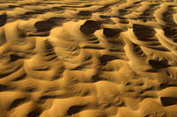 Sand patterns