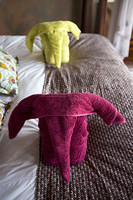 Elephant towels