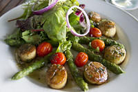 Scallop salad at Cafe de Paris, in Marigot, Saint Martin
