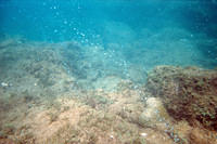 Bubbles from beneath Champagne Reef, Dominica