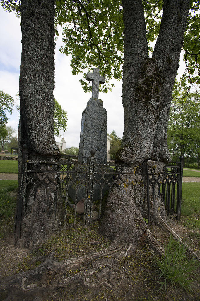 Overgrown grave