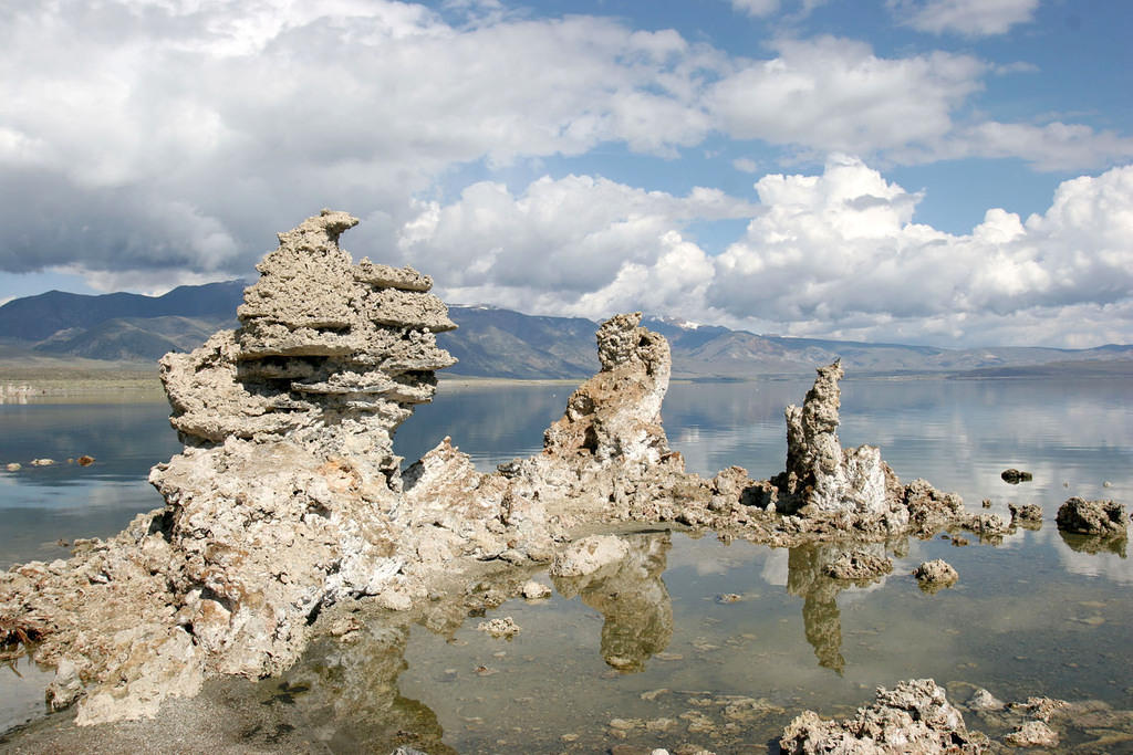 Lake Mono is the "avian gas station" for migratory birds