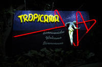 The Tropicana!