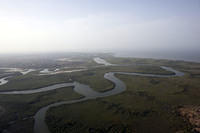Gambia river tributaries