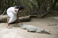 Petting more crocs