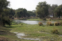 Lower Zambezi tributary