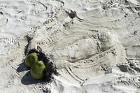 Some day cruisers left a charming sand sculpture for us
