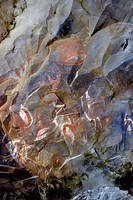 Cave paintings of sea birds in Ana Kai Tangata