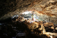 Ana Te Pahu, a large cave with banana trees growing through the hole in the roof