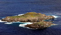 Motu Nui, location of the annual Birdman challenge.