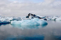 Rain cleans the icebergs, making them look more blue.  For once, it was beneficial to have crappy weather in the morning.