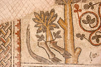 Old mosaic in Madaba.  For some reason, the restoration involved grafting a tree onto a donkey's legs.